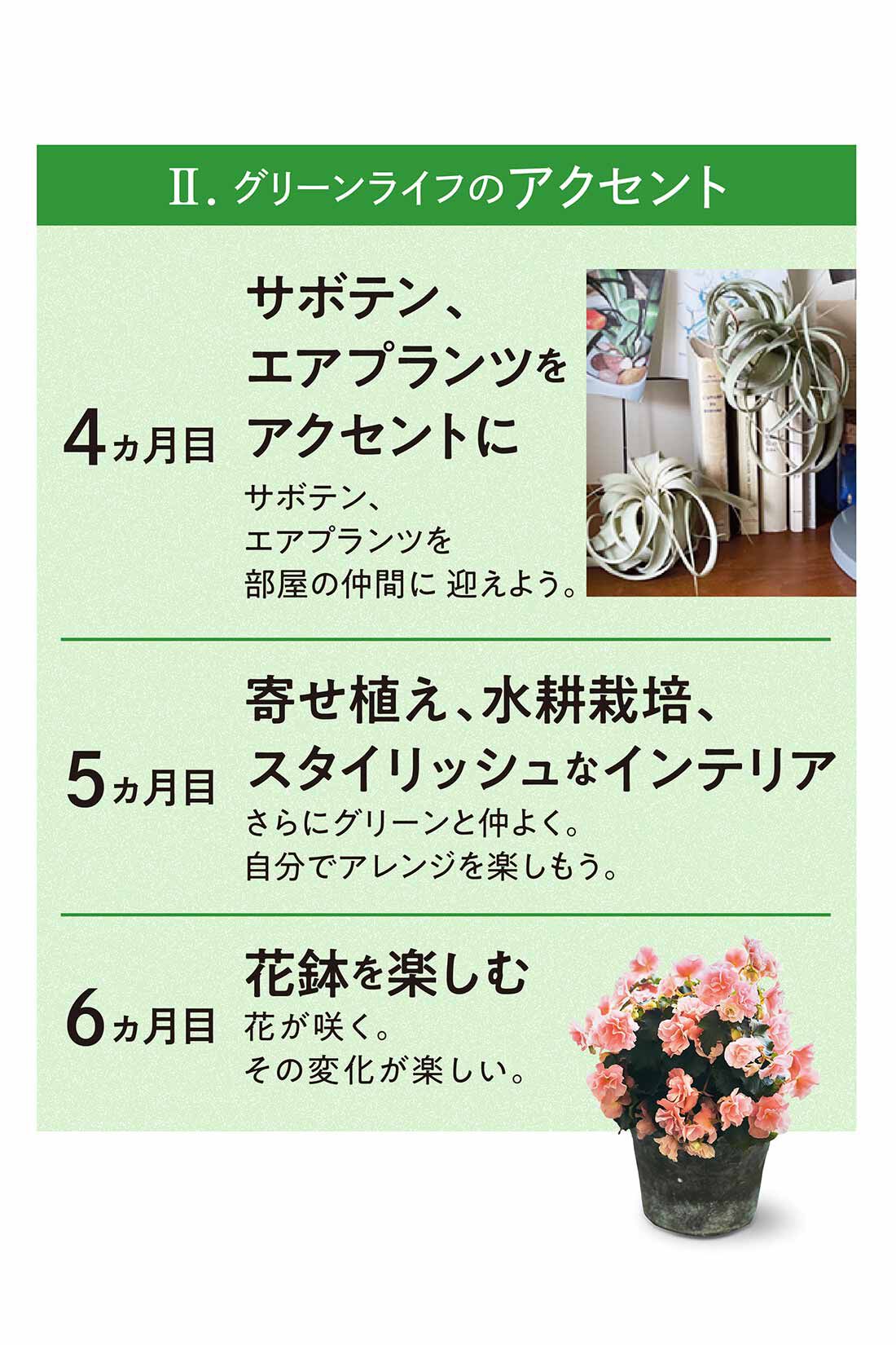ミニツク|【総額9,240円OFF】カジュアルプランツのきほん 植物とくらすプログラム［12回予約プログラム］