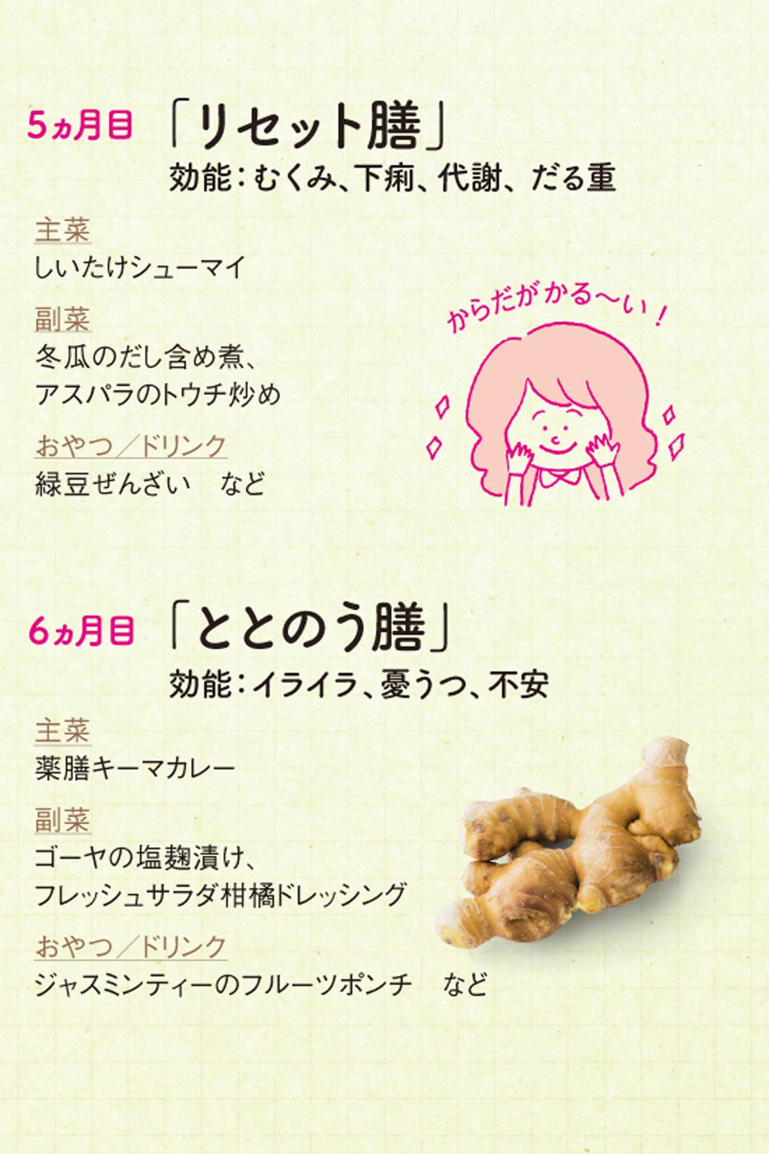 お薬手帳 キャラクター どれもかわいい デザイン 5冊 詰め合わせ セット おくすり手帳 第一弾 キャラクター  メール便発送