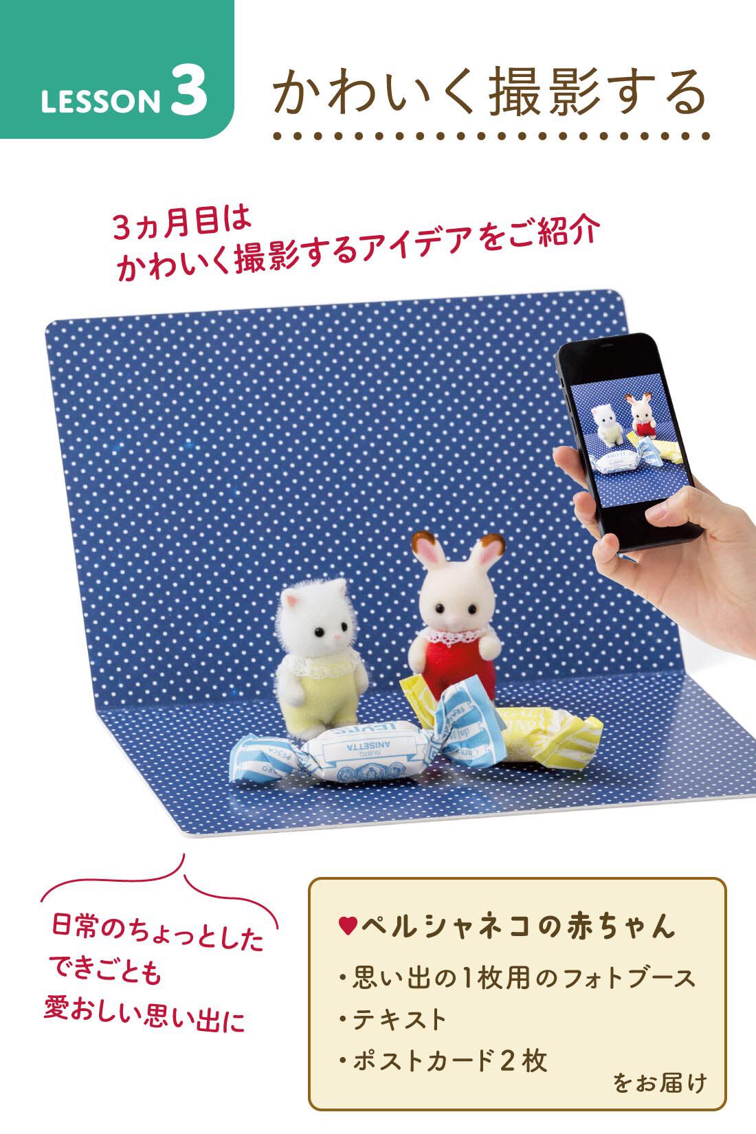 シルバニアファミリー雛人形着せ替え大人用 セット売り たどたどしい