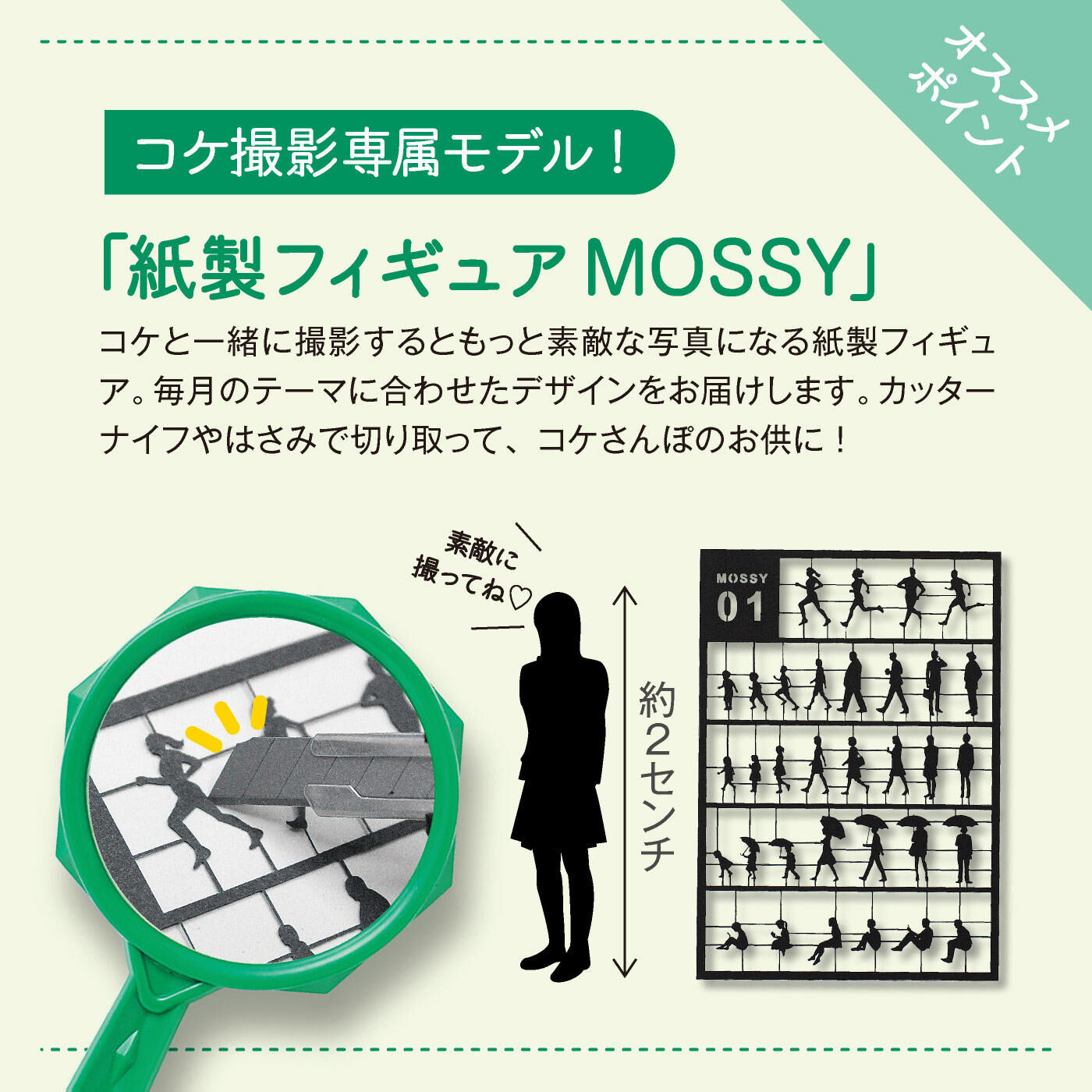 ミニツク|【タイプが選べる】歩いて撮って異世界探訪　コケさんぽプログラム