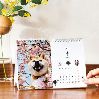 フェリシモメリー | わらう犬カレンダー