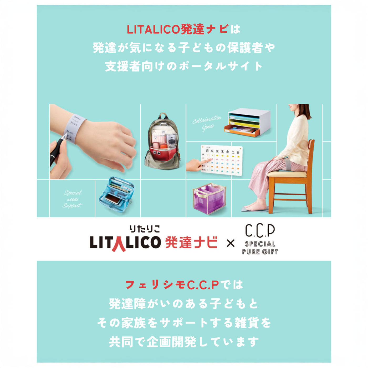 CCP|LITALICO×C.C.P　中がメッシュで取りだしやすいネックウォレット〈サクラベージュ〉