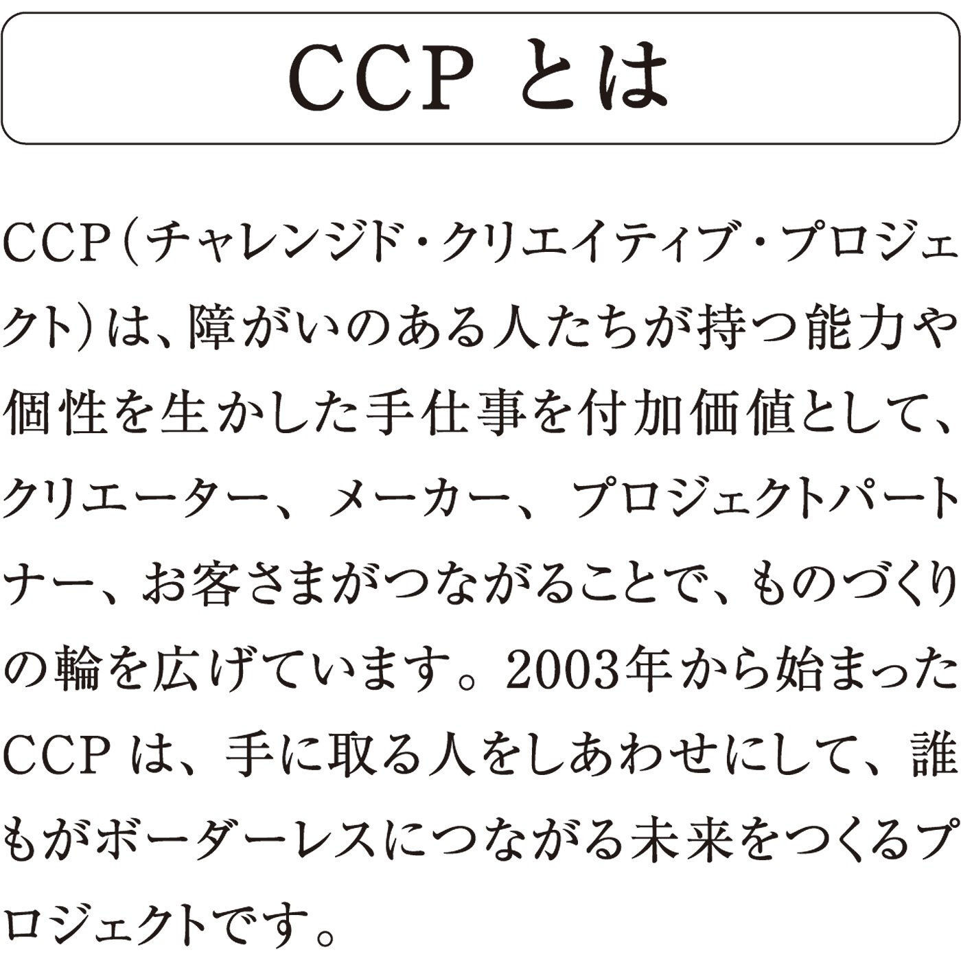 C.C.P|LITALICO×CCP　ひとまとめで整理らくちん 取り出しやすいお道具箱の会（組み立て済み）
