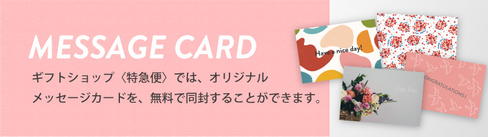 tribute21 わたせせいぞう プレート 2024年7月～<br><font color=#008b8b >SEIZO WATASE<br>Summer