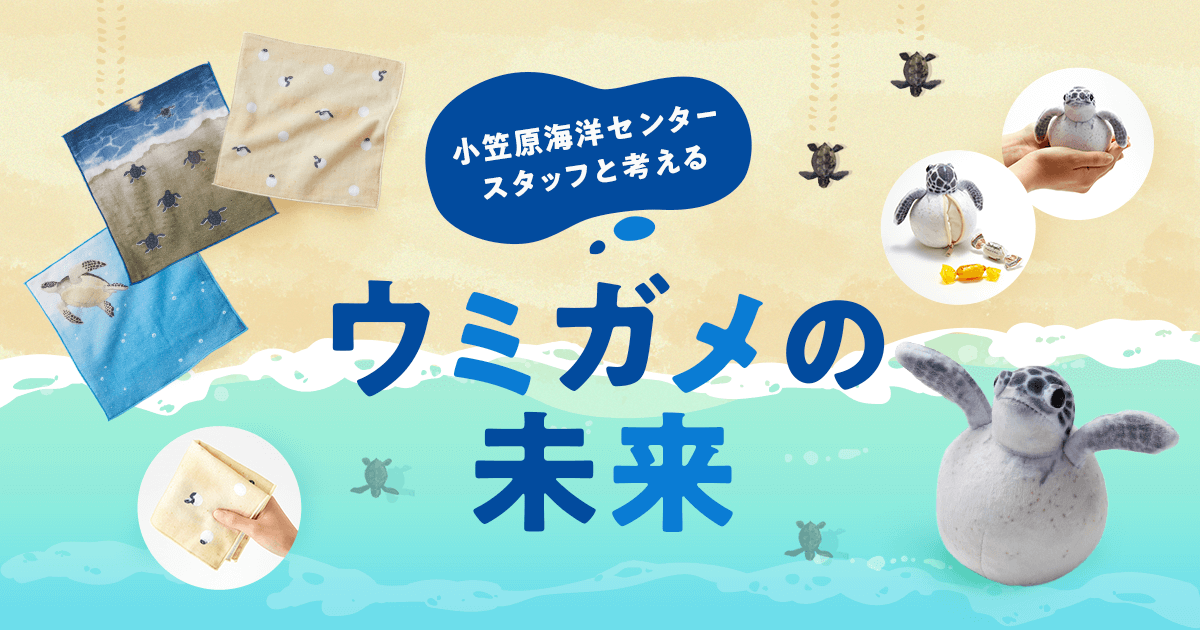 小笠原海洋センターさんと考えるウミガメの未来│フェリシモ