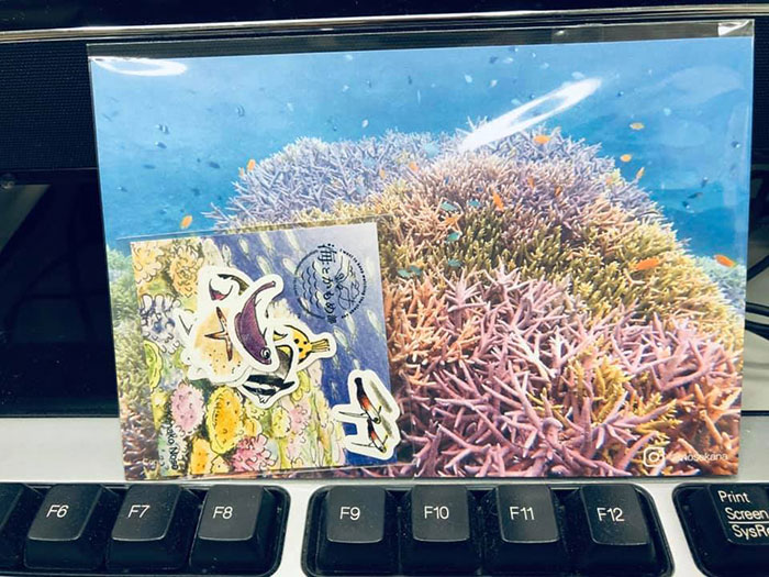 返礼品のお魚フレークシールが机に……!