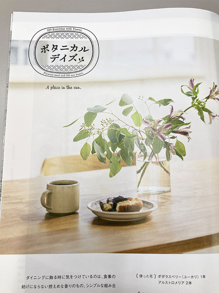 暮らしと植物のコラム