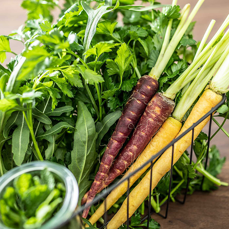 新鮮なお野菜