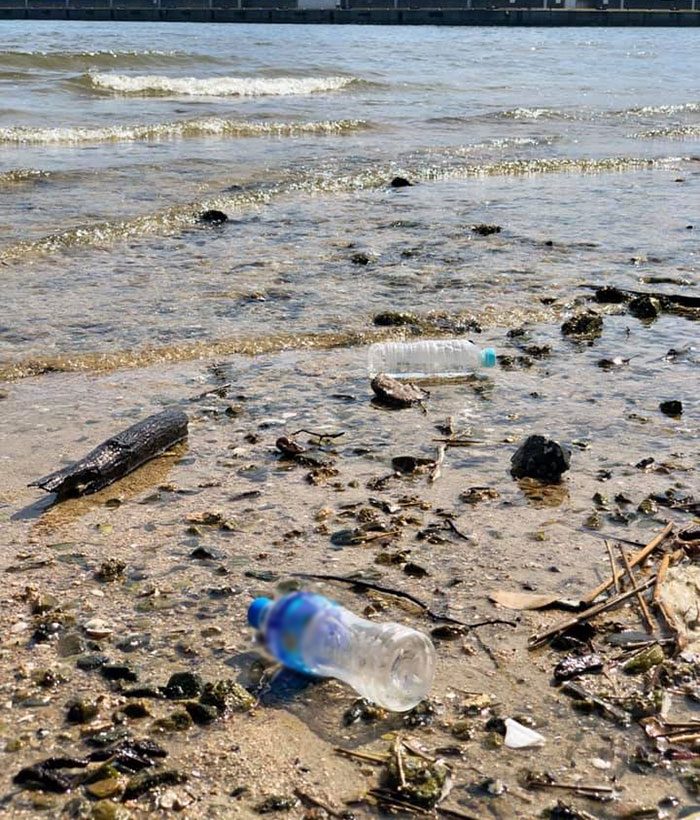 きれいに見えるビーチでも、ペットボトルやビニール袋やプラキャップや、無数のプラスチックゴミが打ち上げられているのがわかります。