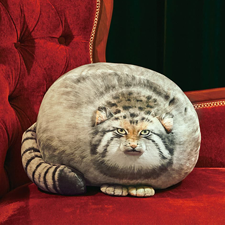 YOU+MORE!　丸すぎる世界最古の猫 マヌルネコもっちりクッション