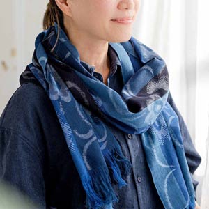 $B%?%/%_%3%l%/%7%g%s(B $B5WN1JF$+$9$j$N$d$o$i$+%9%H!<%k(B