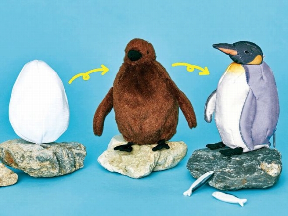 You More 卵 ヒナ 成鳥に オウサマペンギン 3変化ぬいぐるみ その他インテリア 生活雑貨 インテリア 生活雑貨 おもしろ雑貨 動物雑貨の通販 You More ユーモア