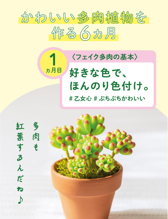 ぷっくり葉っぱがかわいい樹脂粘土で作る フェイク多肉植物 プログラム 6回予約プログラム おうちレッスン おうちレッスン 自宅でできる大人の習い事 お稽古 趣味のレッスン講座 ミニツク 趣味と自分磨きの通信講座