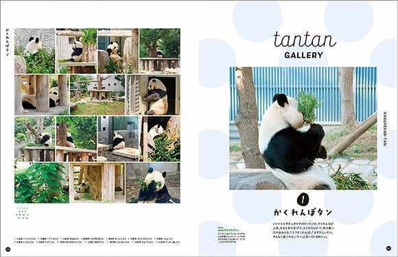 You More 写真集 神戸市立王子動物園のシャイなパンダ タンタン 書籍 書籍 Cd Dvd その他 おもしろ雑貨 動物雑貨の通販 You More ユーモア