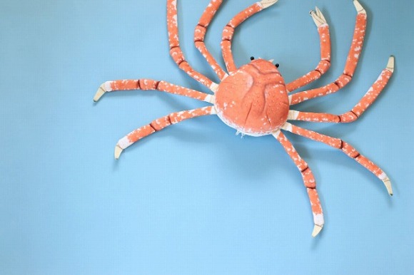 タカアシガニ脱皮ぬいぐるみ2