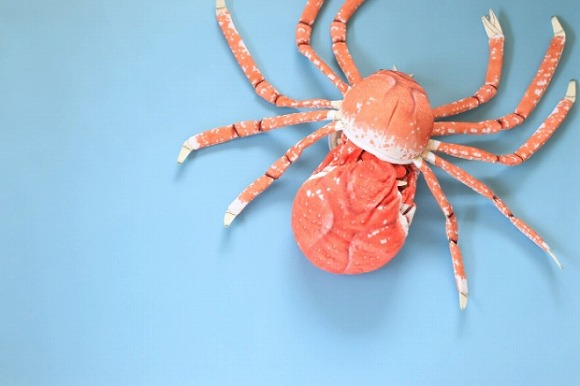 タカアシガニ脱皮ぬいぐるみ3