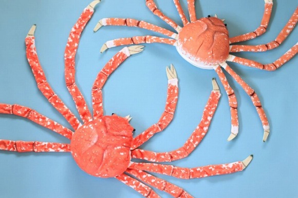 タカアシガニ脱皮ぬいぐるみ4