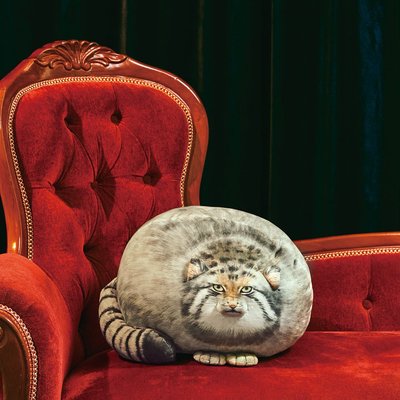 YOU+MORE! 丸すぎる世界最古の猫 マヌルネコもっちりクッション フェリシモ FELISSIMO【送料無料】