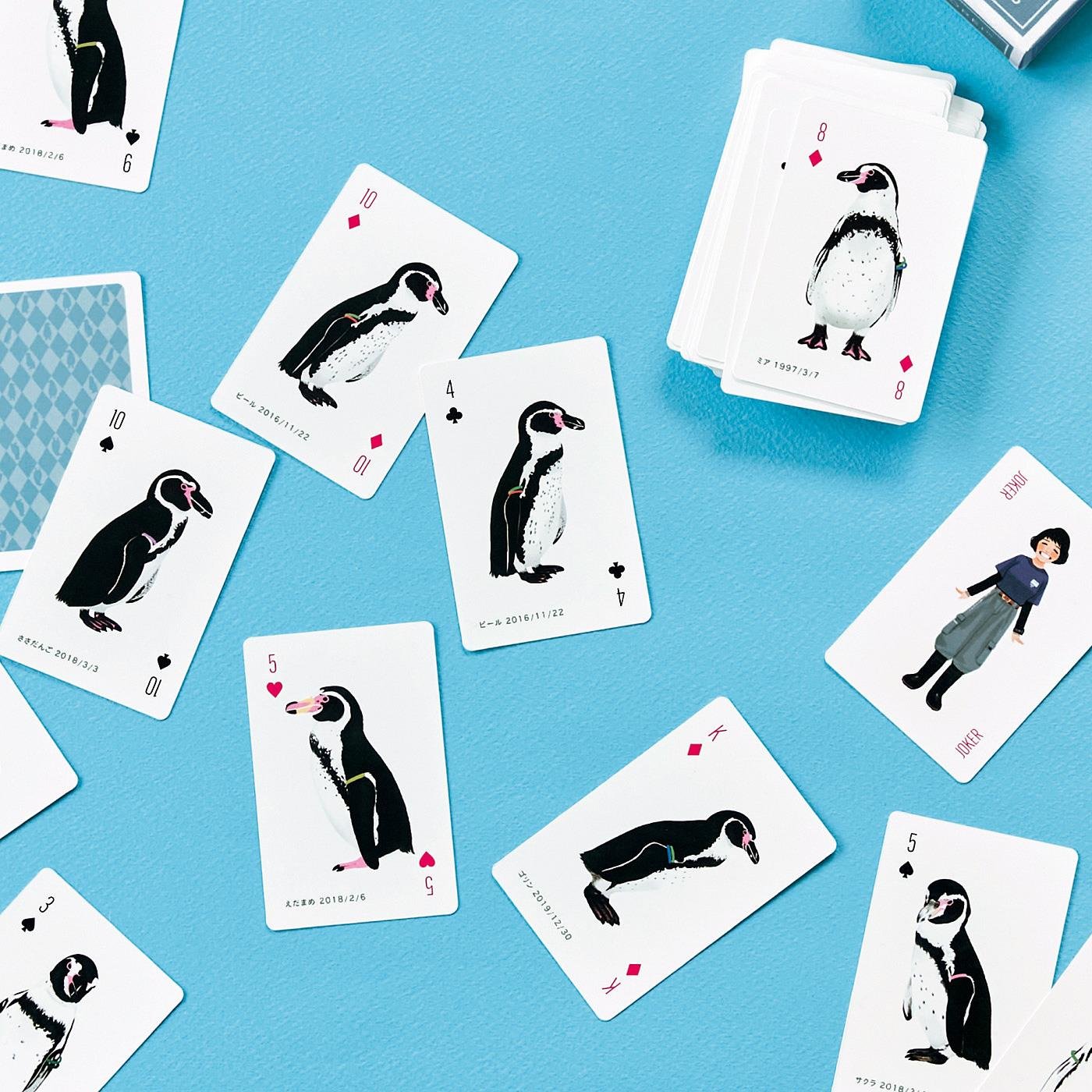 YOU+MORE!　世界一むずかしい！？ フンボルトペンギンのカードゲーム