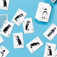 ＜フェリシモ＞ YOU+MORE! 世界一むずかしい! フンボルトペンギンのカードゲーム