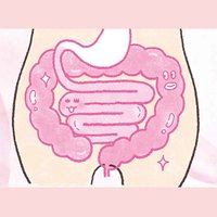 ＜フェリシモ＞ 内と外から自分の腸をメンテナンス! 腸元気プログラム [12回予約プログラム]画像