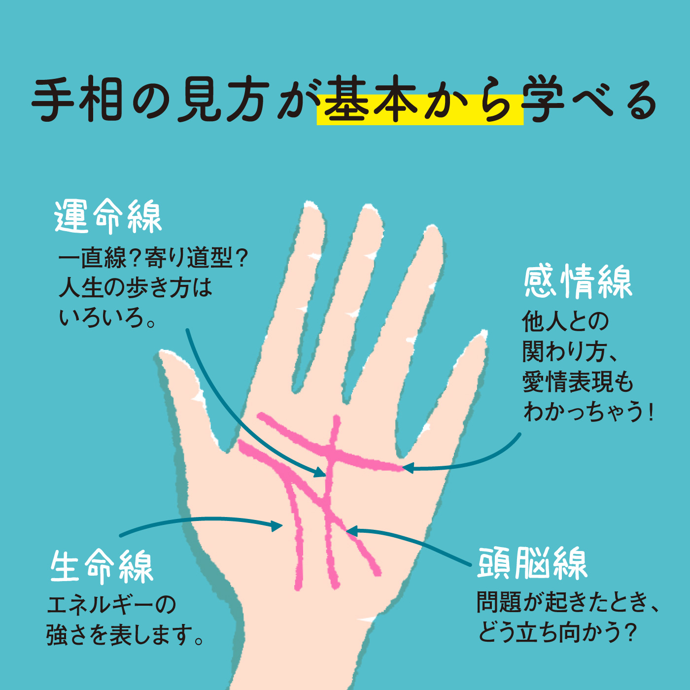 21プライスダウン 手相でなかよしプログラム フェリシモ 宅配便送料込み価格 本 Ditshimegaprojects Co Za