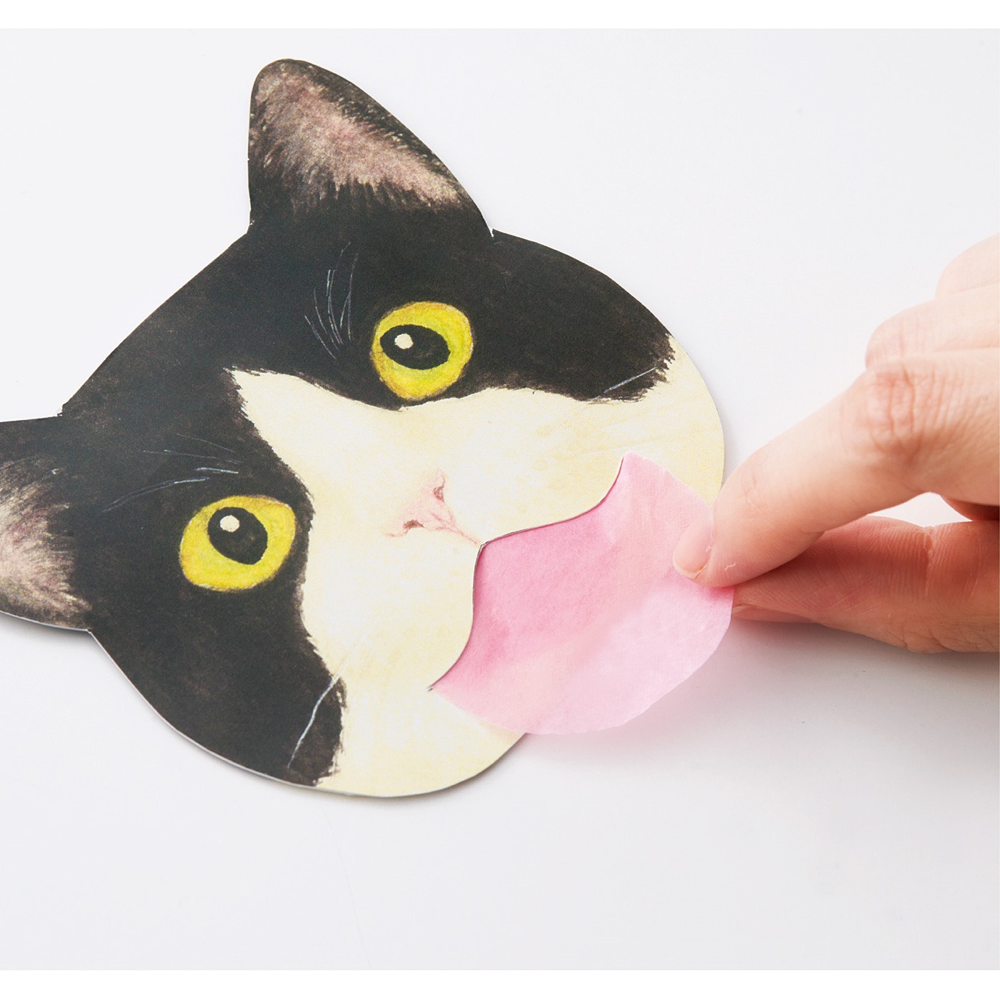 papier matifiant chat