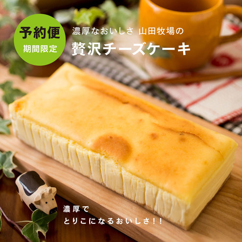 牧場で作ったしぼりたて新鮮乳の贅沢チーズケーキ 洋菓子 お菓子 スイーツ 食品 バイヤーセレクトの通販 フェリシモパートナーズ 牧場で作ったしぼりたて新鮮乳の贅沢チーズケーキ 洋菓子 お菓子 スイーツ 食品 バイヤーセレクトの通販 フェリシモパートナーズ