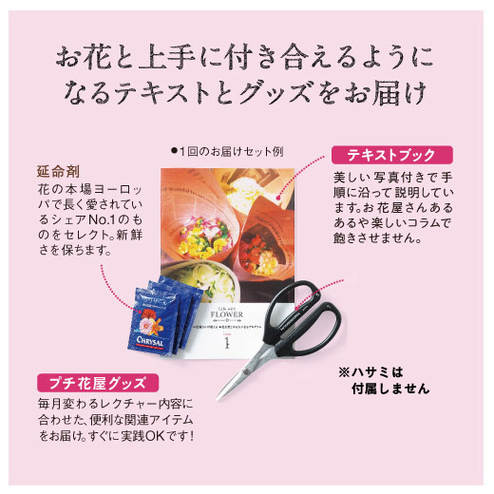 タイプが選べる お花屋さんが教える お花を楽しめる人になるレッスン おうちレッスン おうちレッスン 自宅でできる大人の習い事 お稽古 趣味のレッスン講座 ミニツク 趣味と自分磨きの通信講座 タイプが選べる お花屋さんが教える お花を楽しめる人になるレッスン おうちレッスン おうちレッスン 自宅でできる大人の習い事 お稽古 趣味のレッスン講座 ミニツク 趣味と自分磨きの通信講座