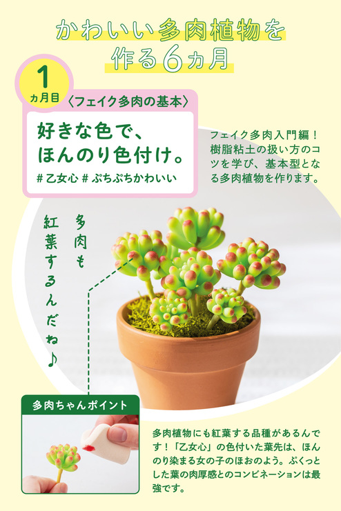 ぷっくり葉っぱがかわいい樹脂粘土で作る フェイク多肉植物 プログラム 6回予約プログラム おうちレッスン おうちレッスン 自宅でできる大人の習い事 お稽古 趣味のレッスン講座 ミニツク 趣味と自分磨きの通信講座