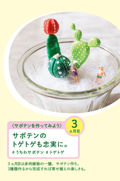 ぷっくり葉っぱがかわいい樹脂粘土で作る フェイク多肉植物プログラム 6回予約プログラム おうちレッスン おうちレッスン 自宅でできる大人の習い事 お稽古 趣味のレッスン講座 ミニツク 趣味と 自分磨きの通信講座 ぷっくり葉っぱがかわいい樹脂粘土で作る フェイク多肉植物プログラム 6回予約プログラム おうちレッスン おうちレッスン 自宅でできる大人の習い事 お稽古 趣味のレッスン講座 ミニツク 趣味と 自分磨きの通信講座