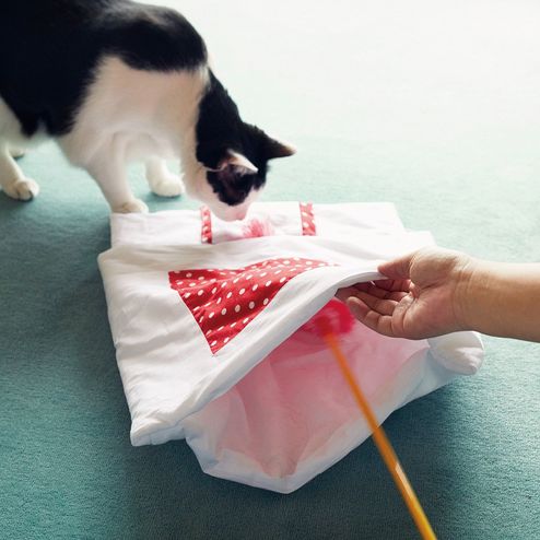 パシャリでみんにゃに自慢 大人気の猫用和布団の会 ペット用品 日用品 インテリア 生活雑貨 猫好きの猫グッズ 猫雑貨の通販 コミュニティ フェリシモ猫部 パシャリでみんにゃに自慢 大人気の猫用和布団の会 ペット用品 日用品 インテリア 生活雑貨 猫好きの猫グッズ 猫雑貨の通販 コミュニティ フェリシモ猫部