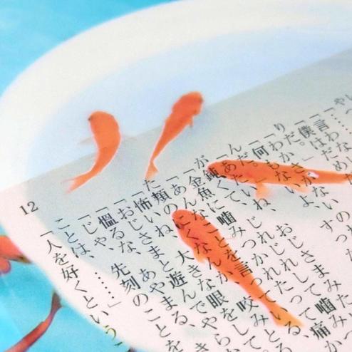 本の中を金魚が泳ぐ 金魚の透明しおりセット 金魚すくい 琉金 その他ステーショナリー ステーショナリー インテリア キッチン収納 生活雑貨の通販 Kraso クラソ