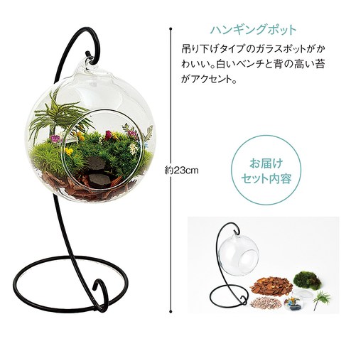 水やり不要でグリーンを楽しむ 苔プリ テラリウム キットの会 3回予約 グリーン インテリア インテリア小物 インテリア 生活雑貨 バイヤーセレクトの通販 フェリシモパートナーズ