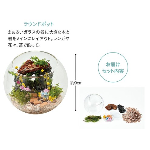 水やり不要でグリーンを楽しむ 苔プリ テラリウム キットの会 3回予約 グリーン インテリア インテリア小物 インテリア 生活雑貨 バイヤーセレクトの通販 フェリシモパートナーズ