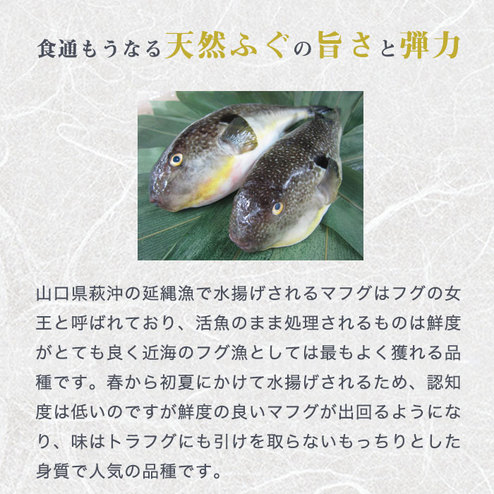 ふく太郎本部 山口県萩産活〆まふく生茶漬け 4人前 その他 食品 バイヤーセレクトの通販 フェリシモパートナーズ ふく太郎本部 山口県萩産活〆まふく生茶漬け 4人前 その他 食品 バイヤーセレクトの通販 フェリシモパートナーズ