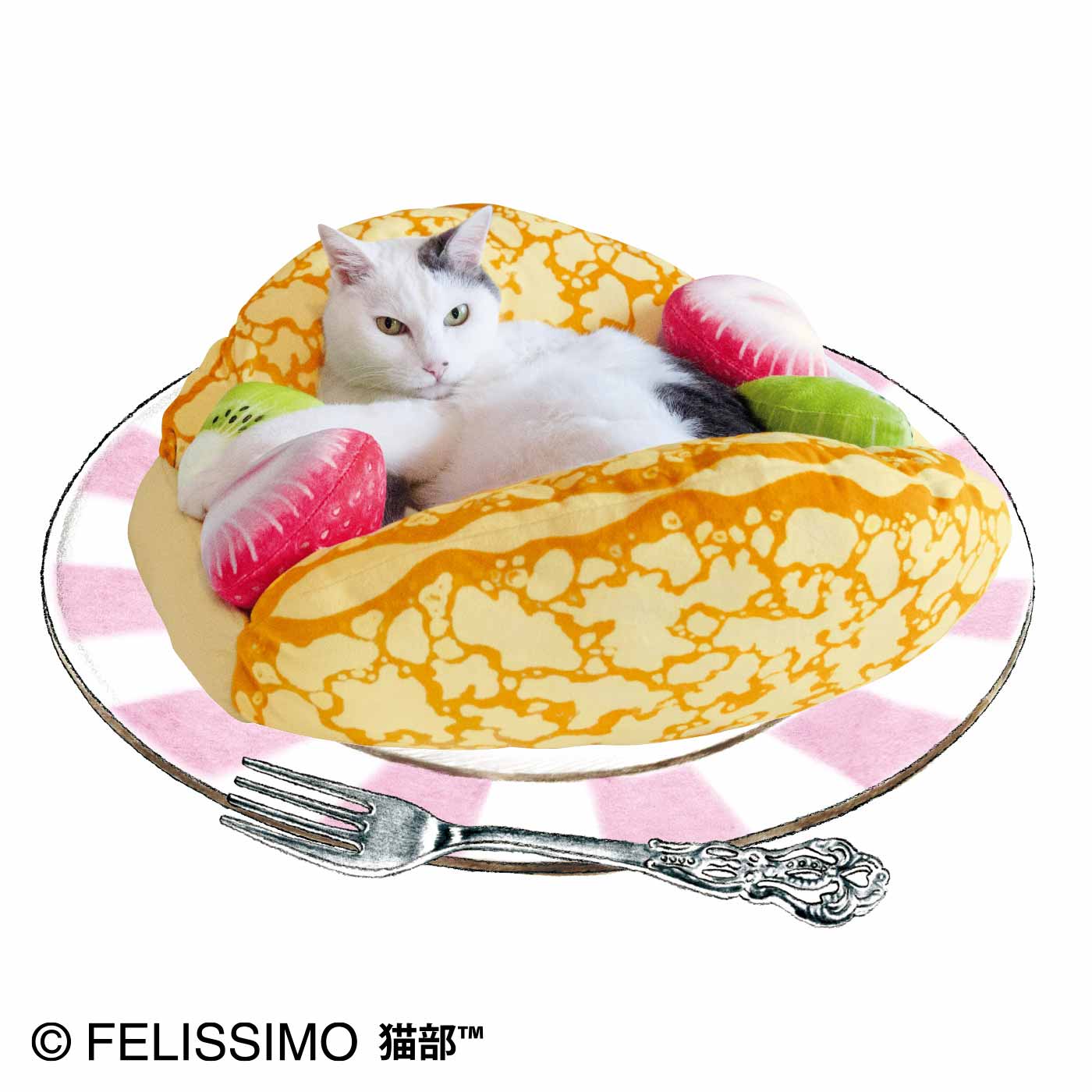 モデル猫:いくら(オス6kg)