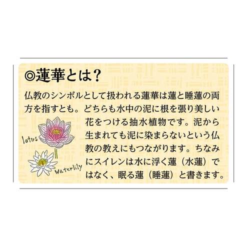 お風呂の水を清浄に ころころ蓮 蕾 れんらい お風呂ボール おうちレッスン おうちレッスン 自宅でできる大人の習い事 お稽古 趣味のレッスン講座 ミニツク 趣味と自分磨きの通信講座 お風呂の水を清浄に ころころ蓮 蕾 れんらい お風呂ボール おうちレッスン おうちレッスン 自宅でできる大人の習い事 お稽古 趣味のレッスン講座 ミニツク 趣味と自分磨きの通信講座