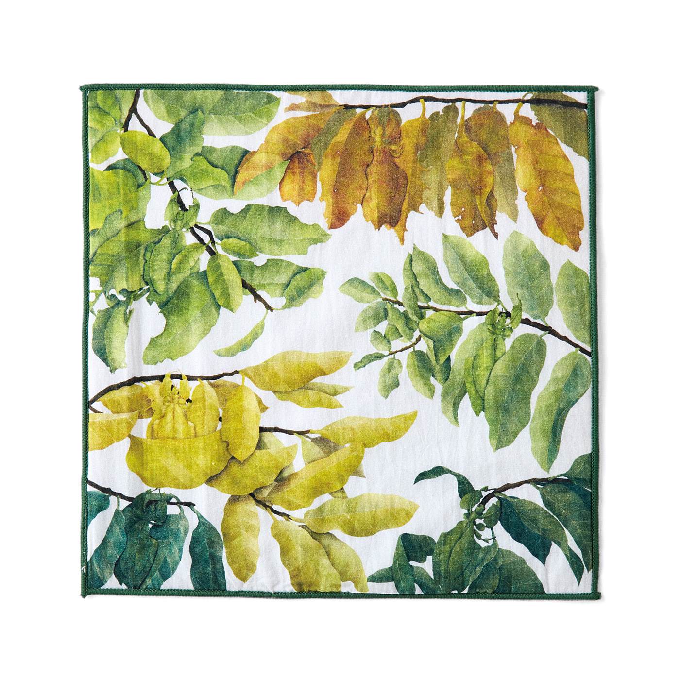 ボタニカルアート・昆虫アート