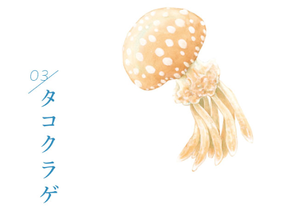 You More 新商品ダイジェスト Kraso クラソ ブログ フェリシモ