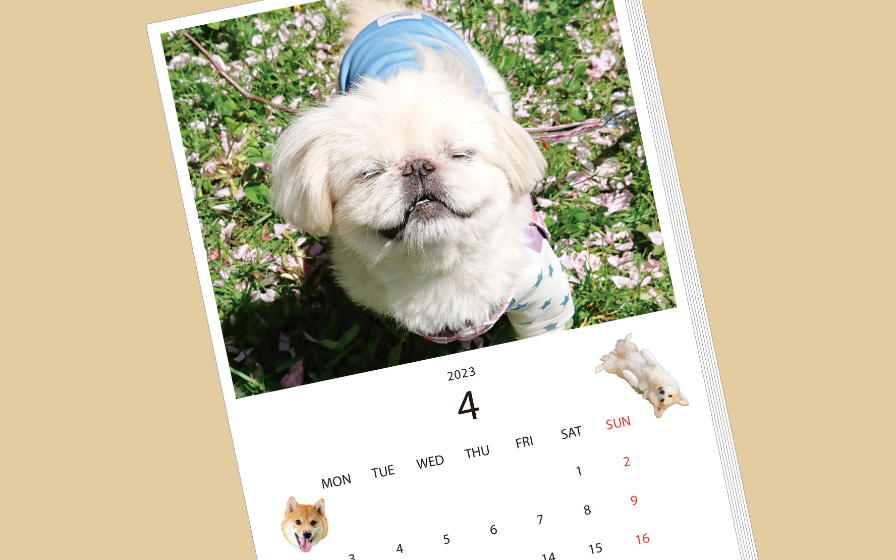 【大募集！】「わらう犬」カレンダーをみんなでつくろう！