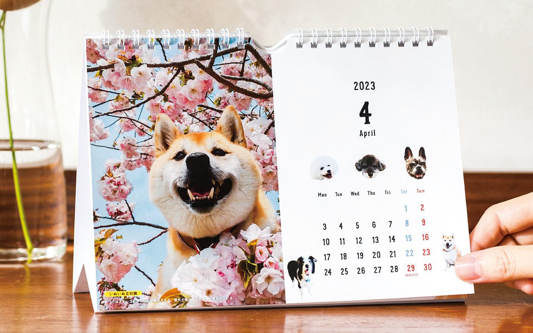 【予約受付中！】「わらう犬」カレンダーができました