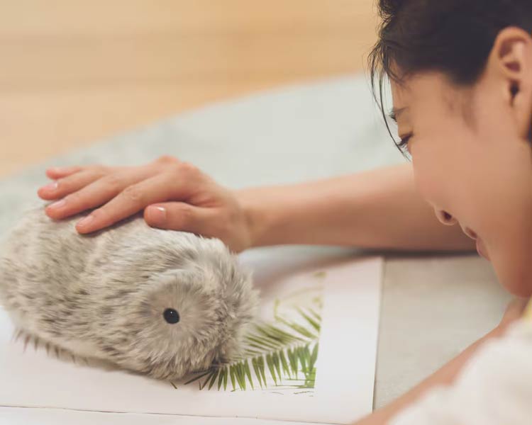 モフリン
