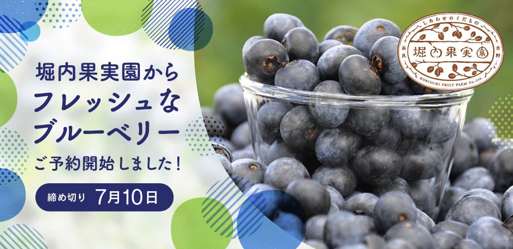 堀内果実園のブルーベリー