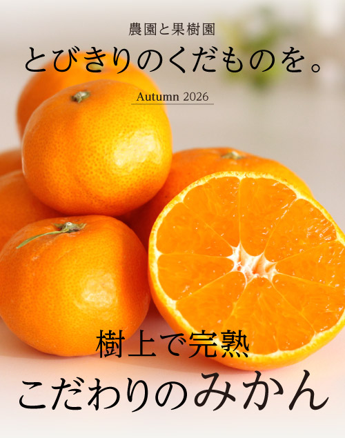 フルーツ＆野菜
