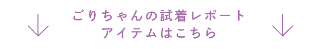 ごりちゃんの試着レポートアイテムはこちら