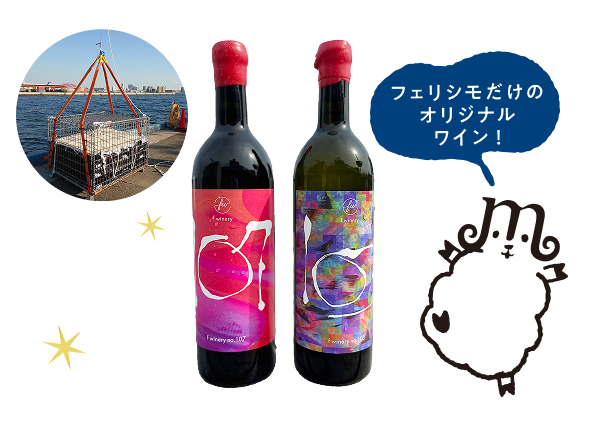 f winery 海底熟成ワイン2本セット （f wineryチケット付き）