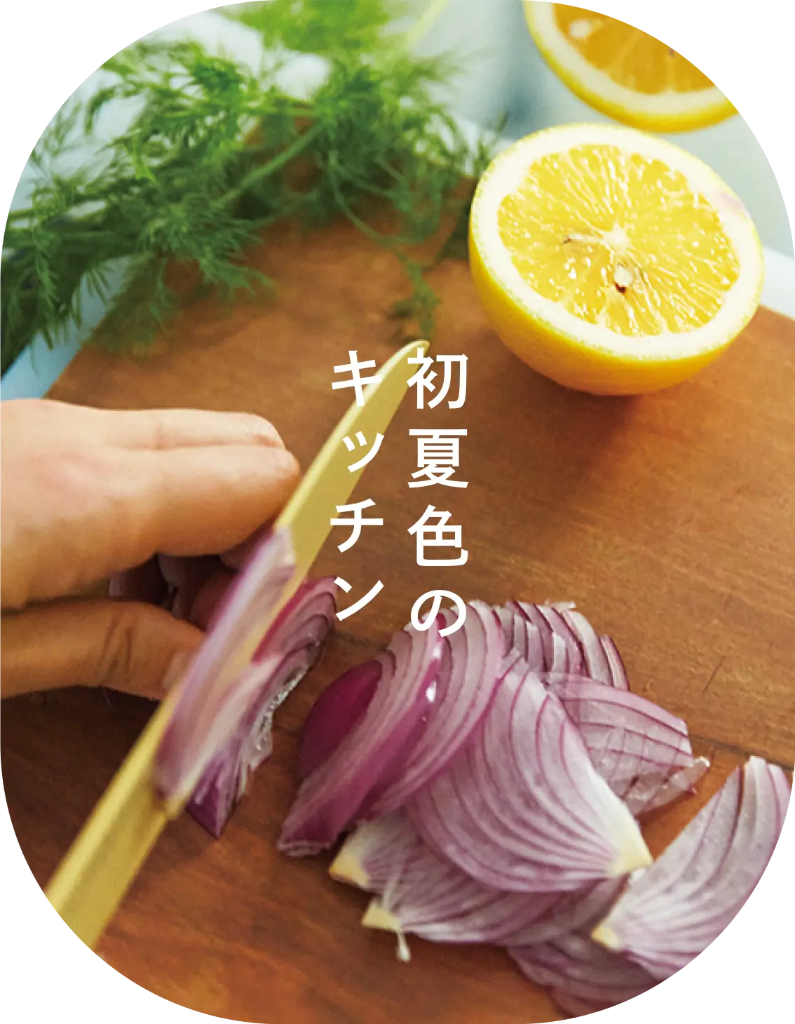 初夏色のキッチン