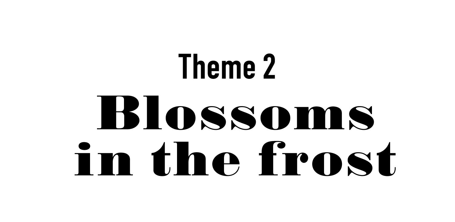 Theme 2 Blossoms in the frost