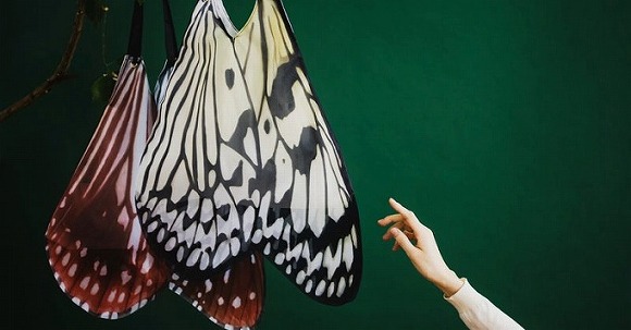 フェリシモミュージアム部　神秘的な蝶の誕生を再現した　バタフライエコバッグ&サナギポーチ
